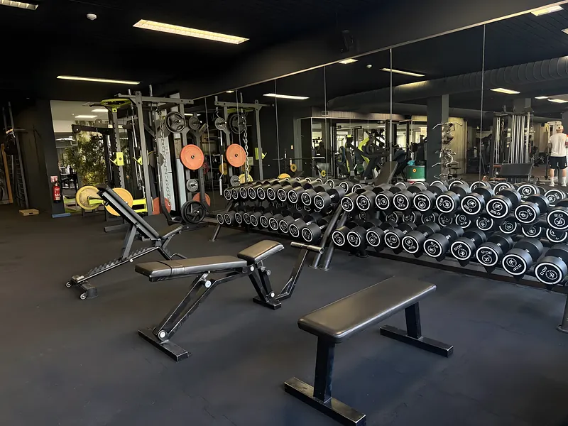 Freihantelbereich im Fitness Club Fellbach