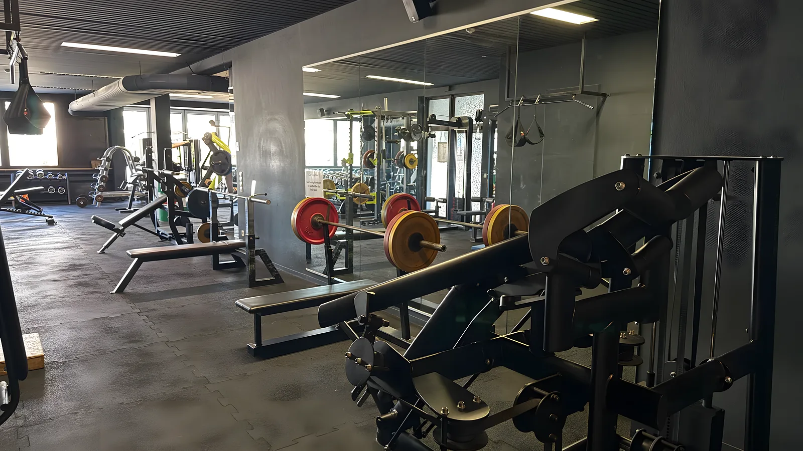Trainingsfläche im Fitness Club Fellbach, 12 Minuten von Stuttgart-Bad Cannstatt